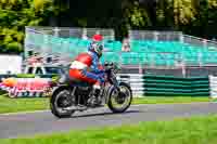 Vintage-motorcycle-club;eventdigitalimages;mallory-park;mallory-park-trackday-photographs;no-limits-trackdays;peter-wileman-photography;trackday-digital-images;trackday-photos;vmcc-festival-1000-bikes-photographs